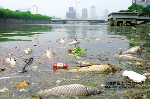 離子交換樹脂對污染如何進行處理？